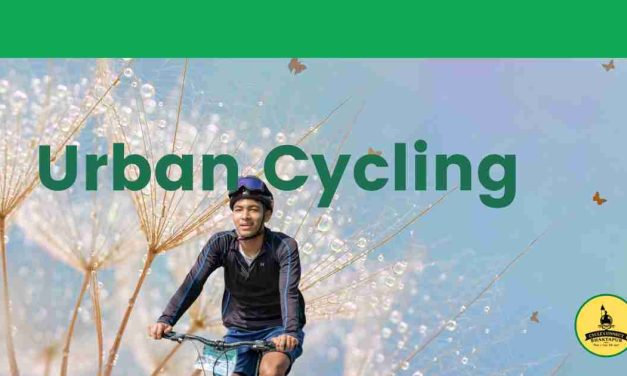 Urban Cycling